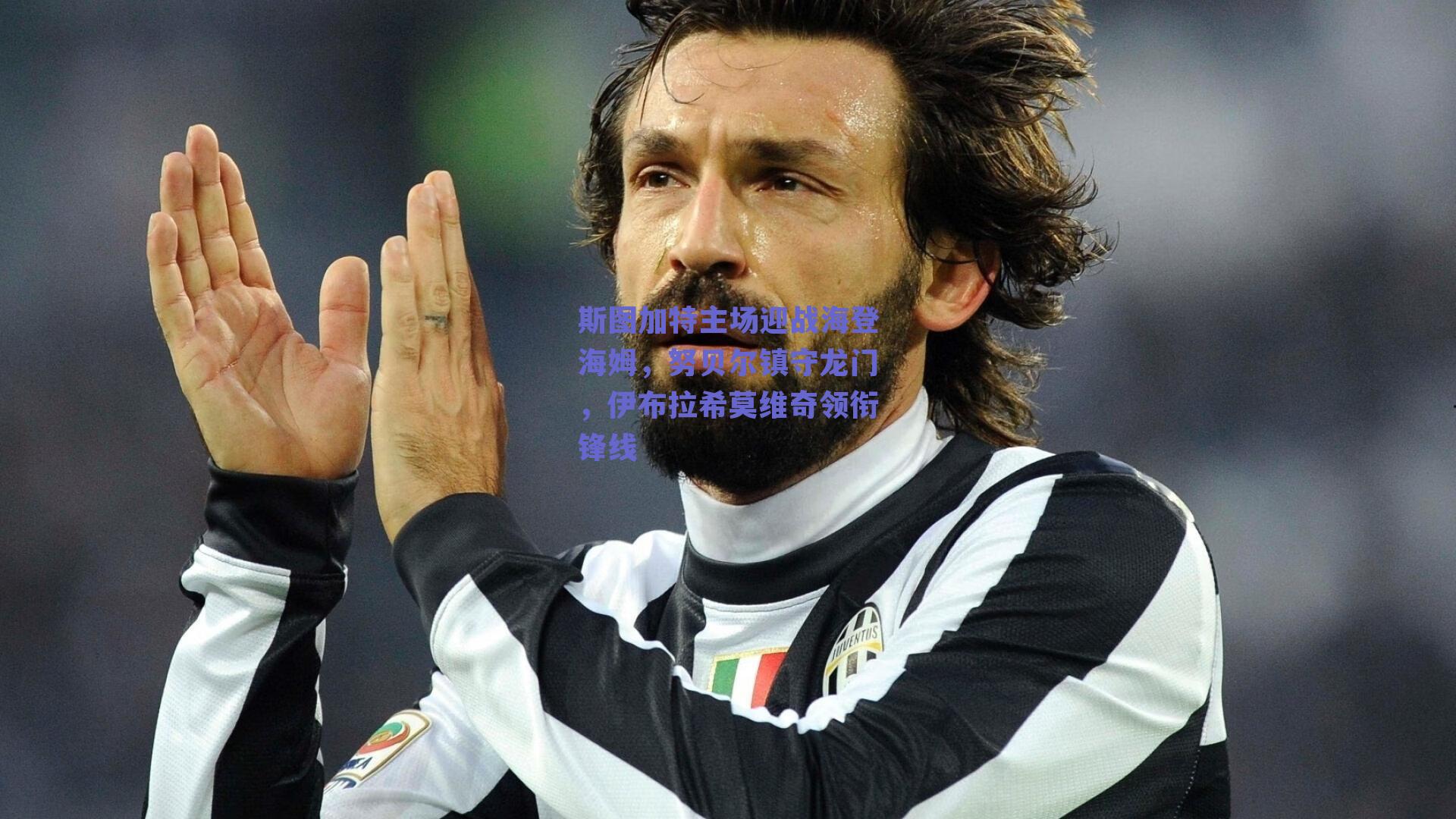 斯图加特主场迎战海登海姆，努贝尔镇守龙门，伊布拉希莫维奇领衔锋线